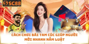 Cách Chơi Bài Tam Cúc Giúp Người Mới Nhanh Nắm Luật